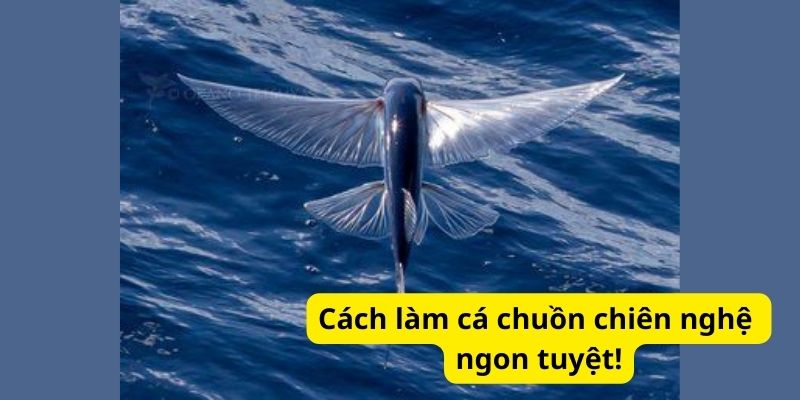 Cách làm cá chuồn chiên nghệ ngon tuyệt!